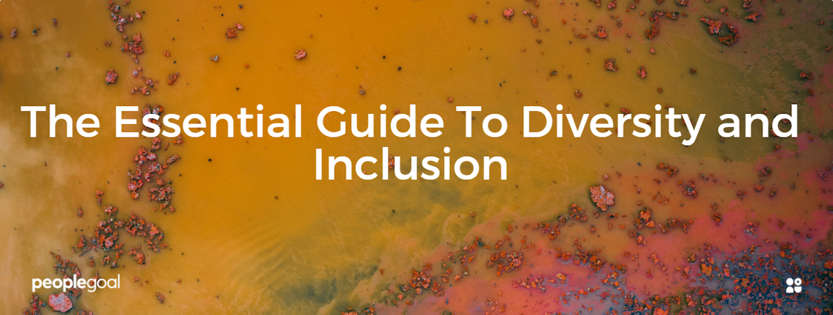 Diversity and Inclusion: The Essential Guide