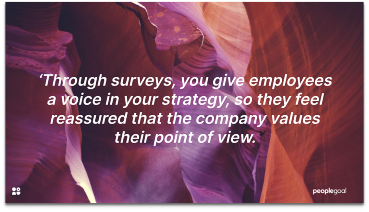 Benefit of surveys HR software 