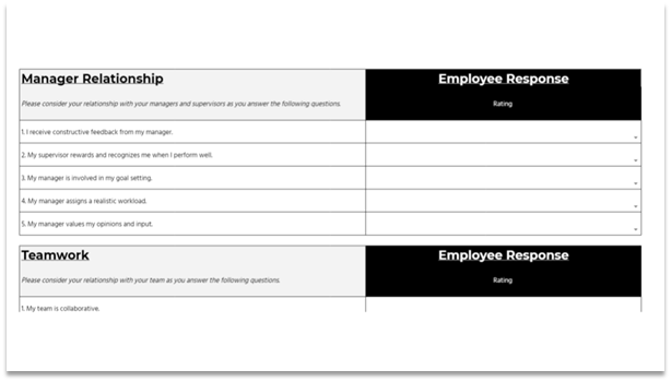Employee Engagement Survey Template - anonymous survey