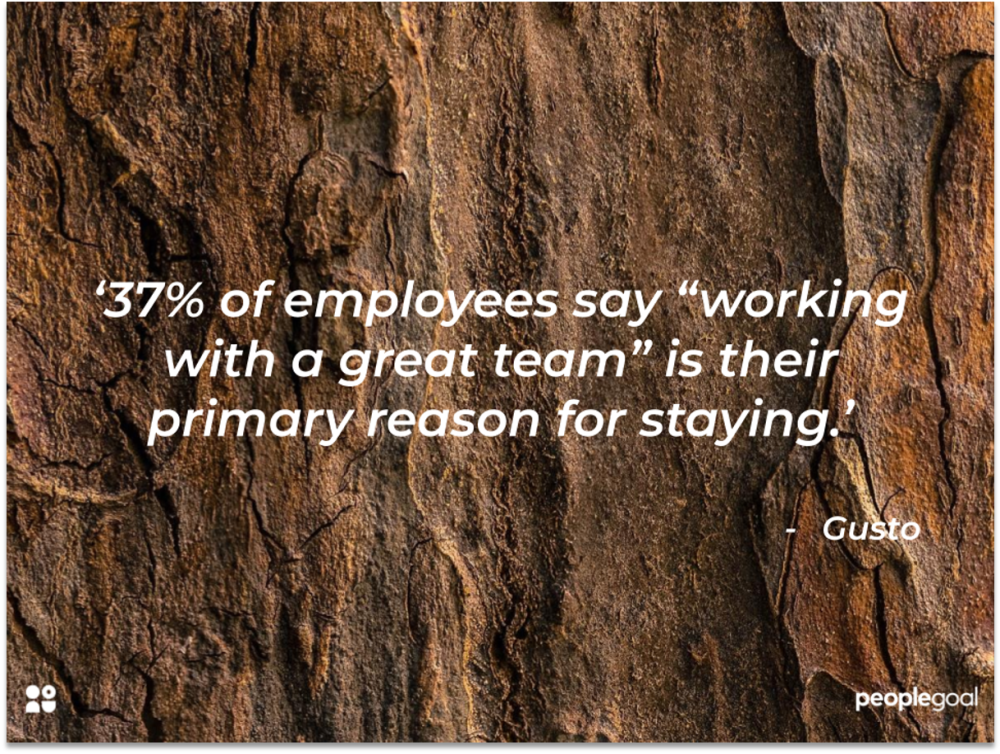 teambuilding for employee retention
