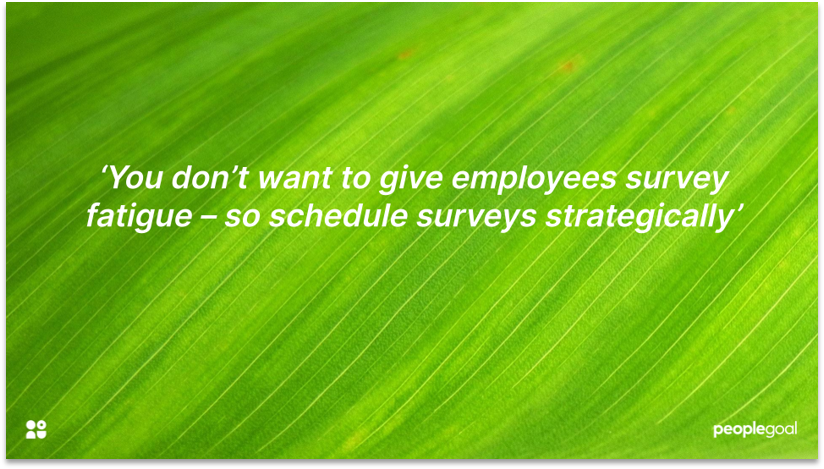Employee engagement survey questions timing