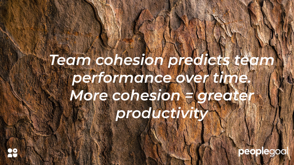 cohesion = productivity - manager comments for the next review cycle