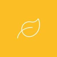 Employee Experience Survey