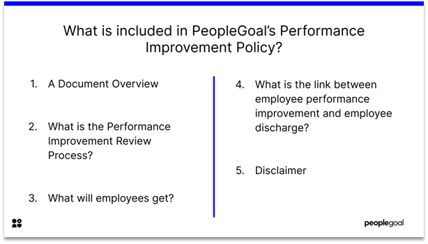 What does a Performance Improvement Policy include