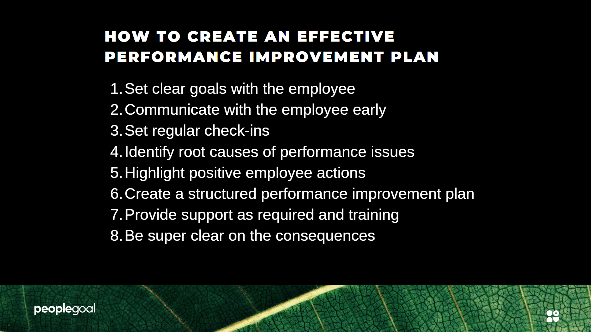 Performance Improvement Plan Effectiveness
