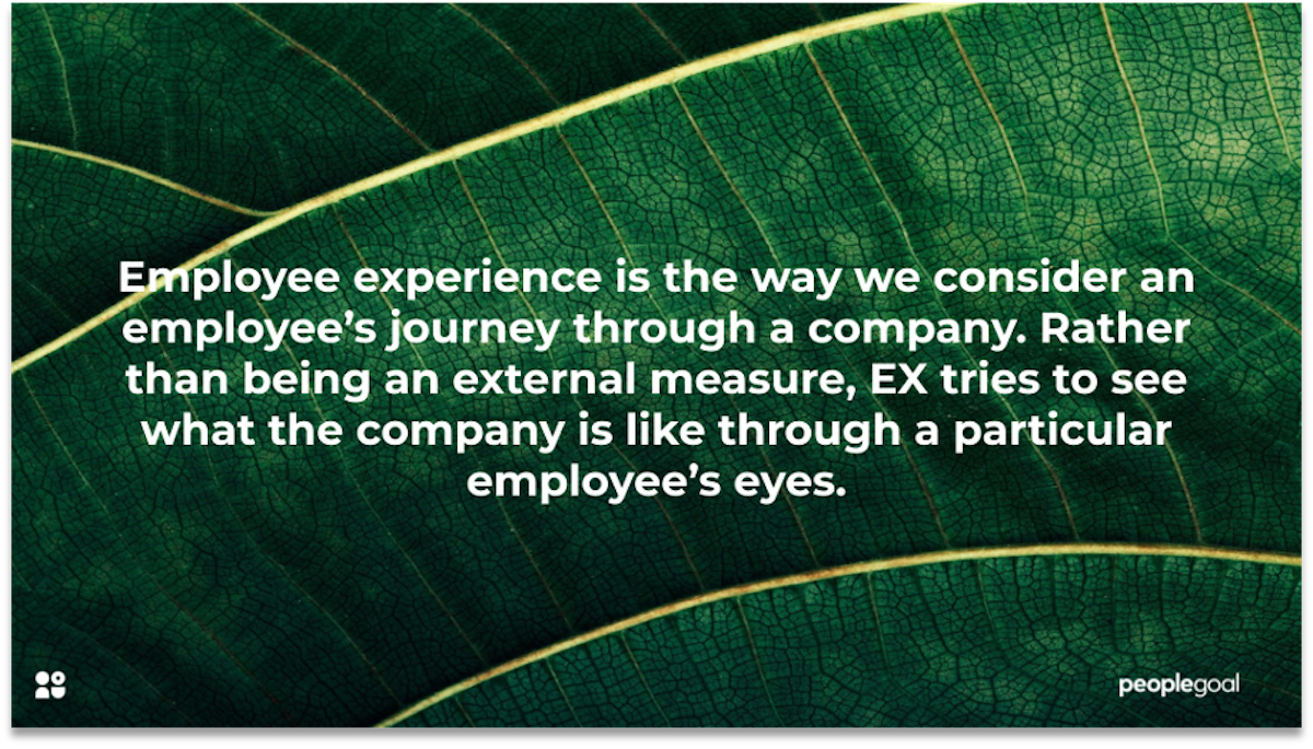 what is employee experience peoplegoal