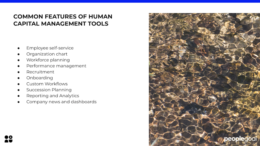 Features of human capital management tools peoplegoal