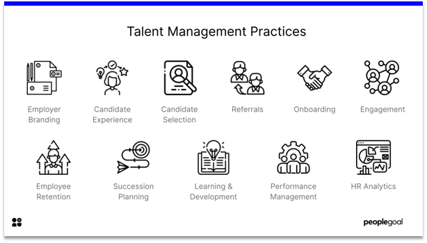 Talent Management - talent management practices
