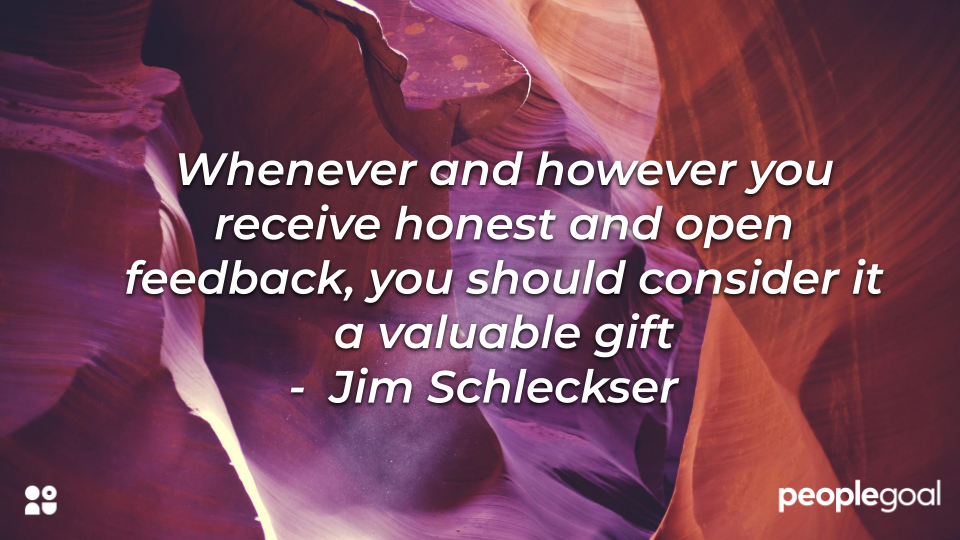 Jim Schleckser Quote