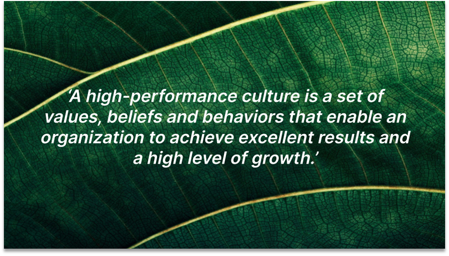high-performance culture definition