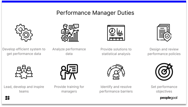 Performance Manager - duties