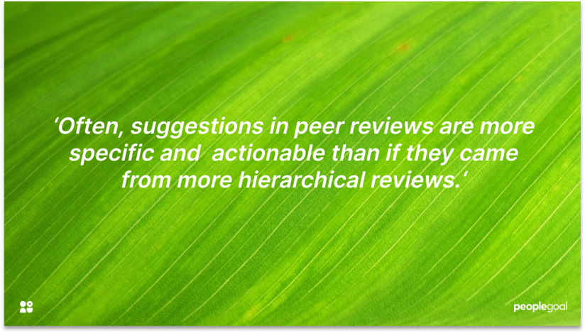 Peer Reviews for Performance Feedback disadvantages