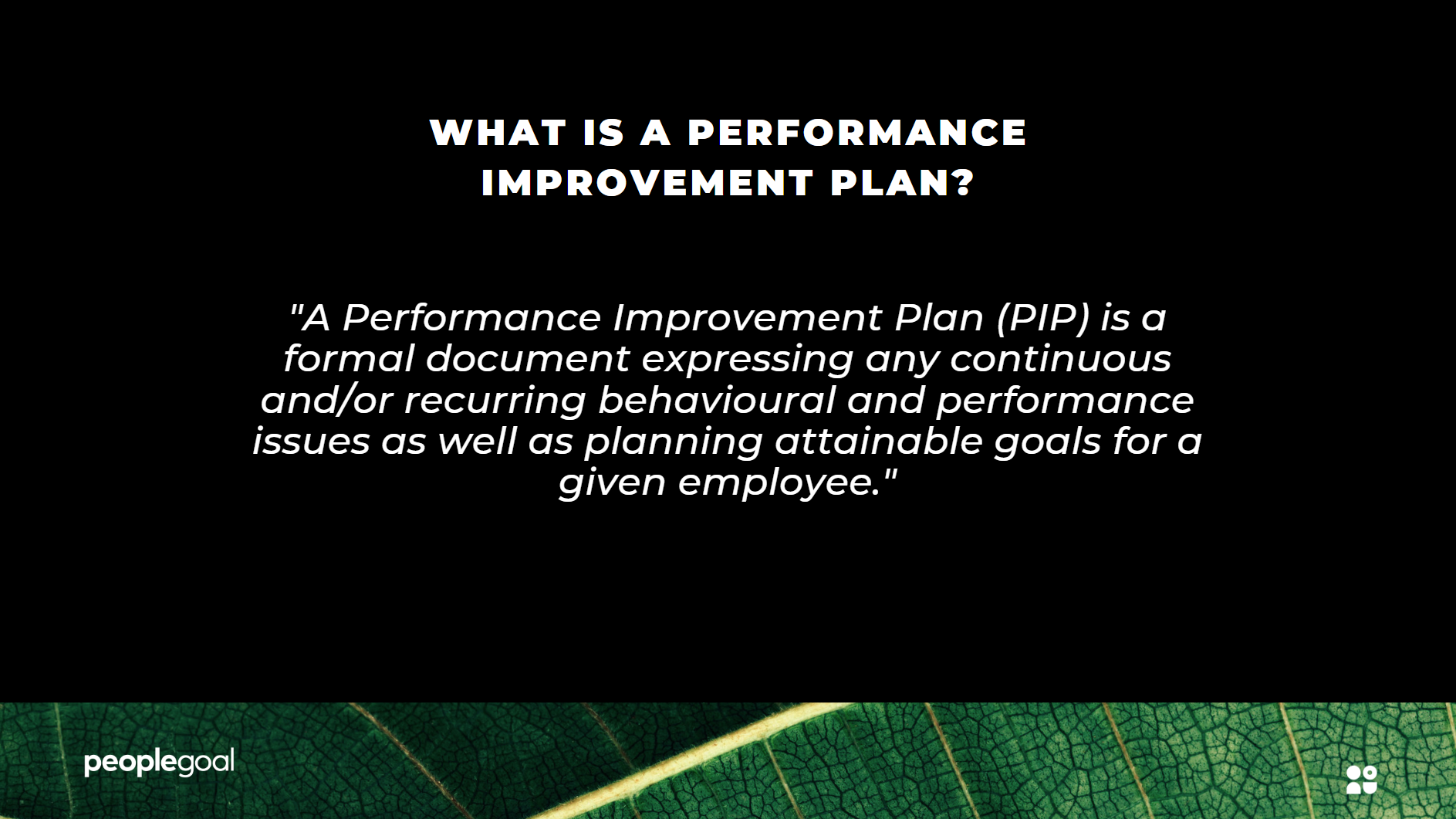 Performance Improvement Plan Definition
