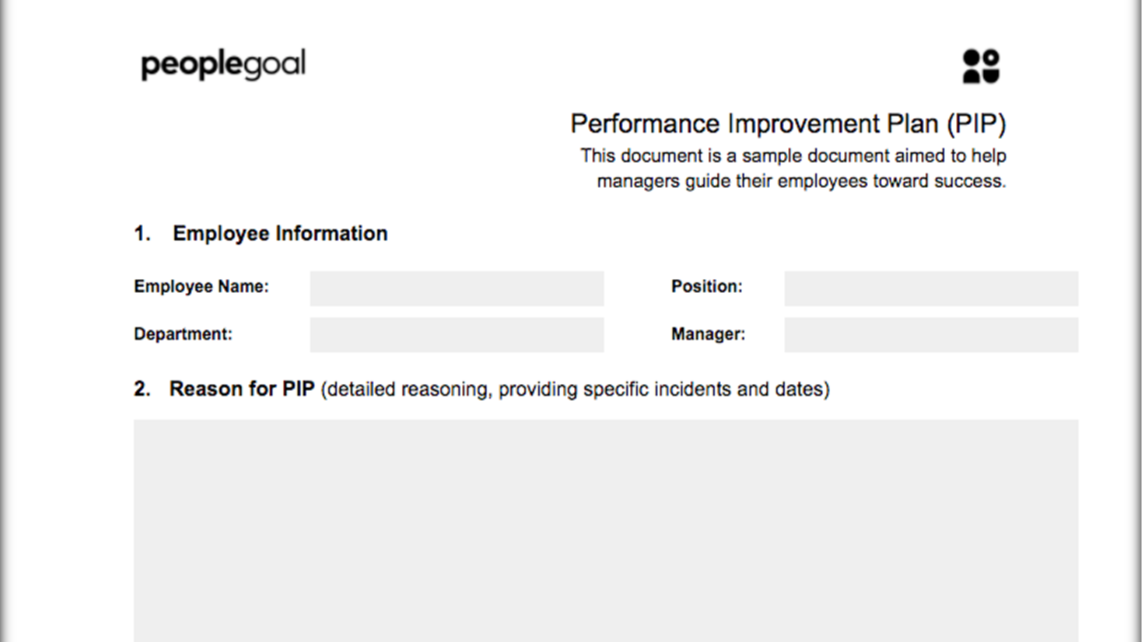 Performance improvement plan template 2