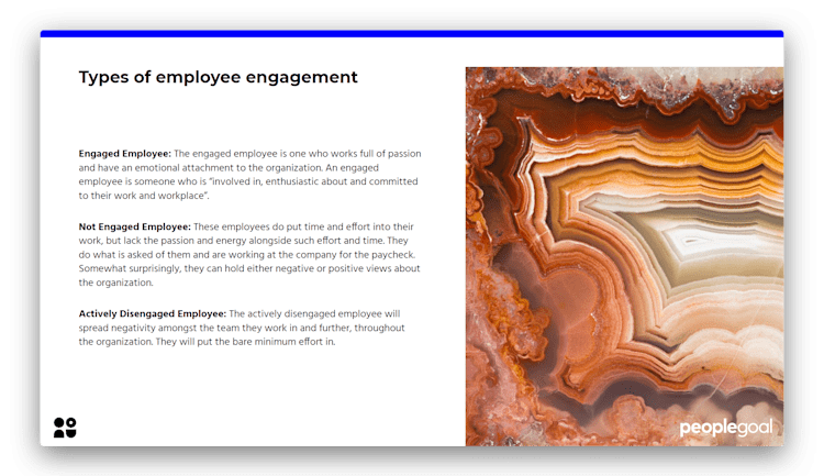 Types of Employee Engagement