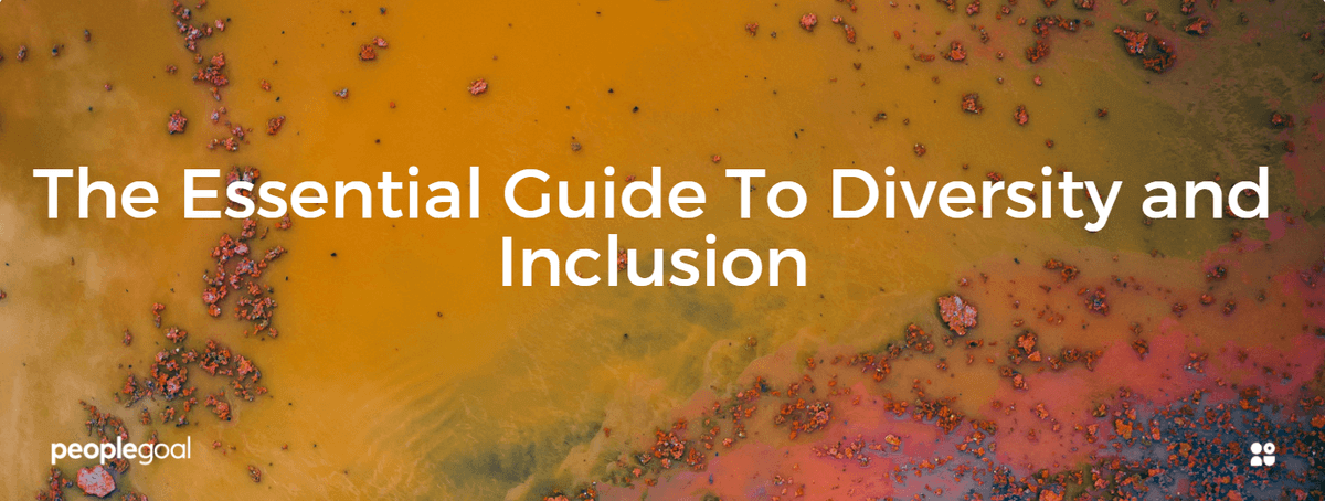 Diversity and Inclusion: The Essential Guide